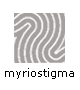 myriostigma 
